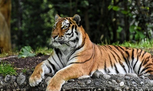 Zoologischer Garten Schwerin Zoologischer Garten Schwerin