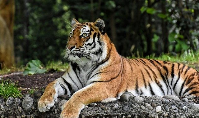 Zoologischer Garten Schwerin